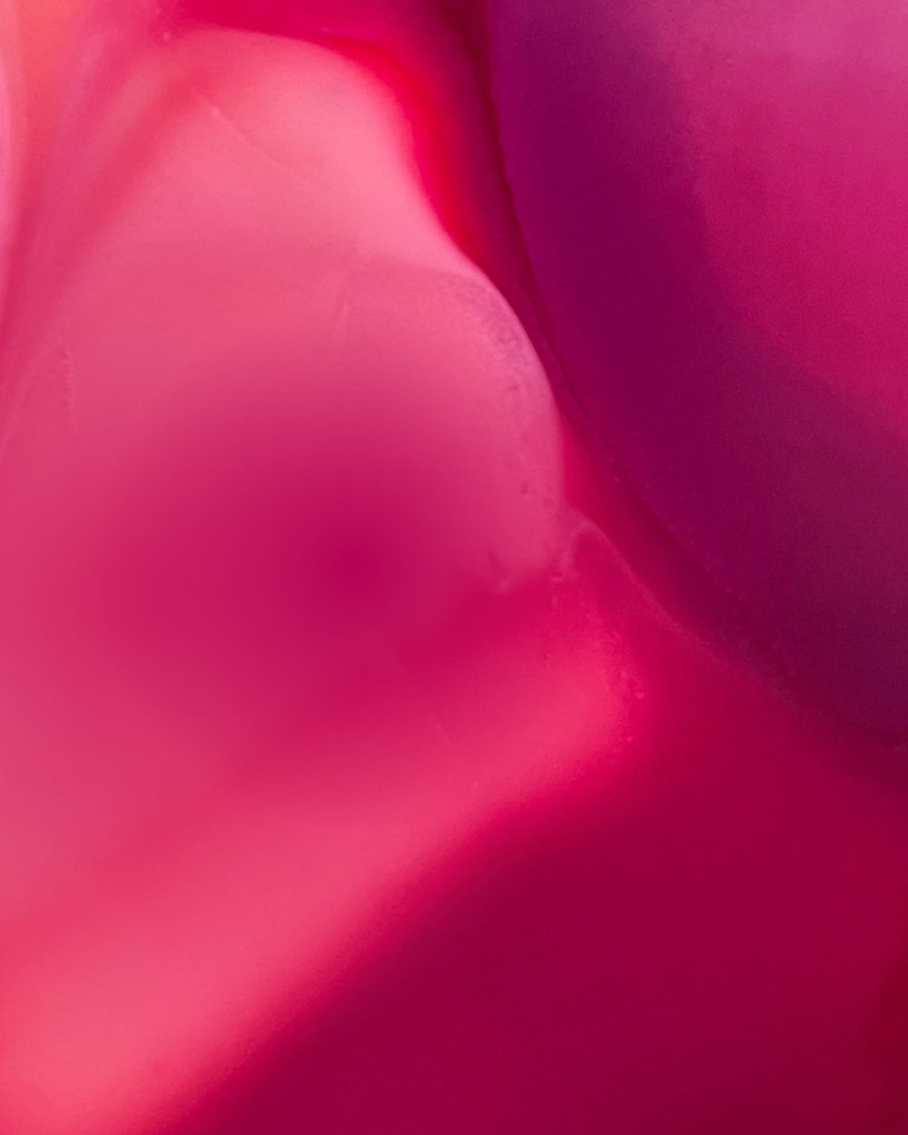 Membership Subscription | Subscribe and Save