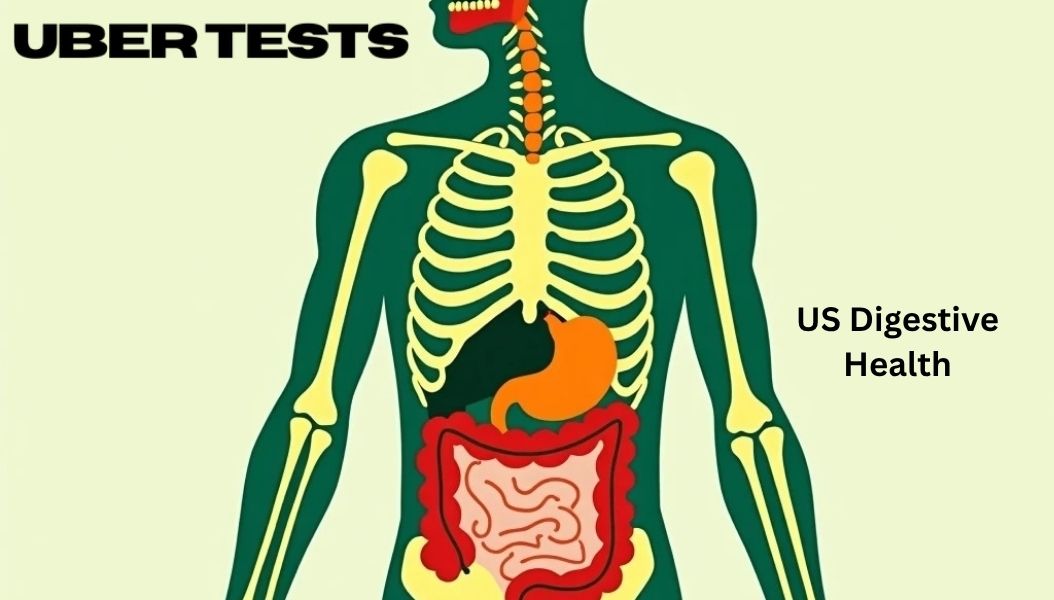 US Digestive Health: How Your System Works and Ways To Improve It